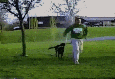 Acid Gifdump, March 17 (25 gifs)