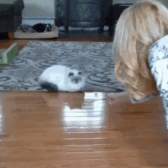Acid Gifdump, March 17 (25 gifs)