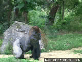 Acid Gifdump, March 17 (25 gifs)