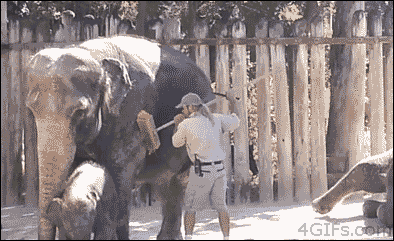 Acid Gifdump, March 17 (25 gifs)