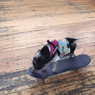 Acid Gifdump, March 17 (25 gifs)