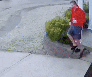 Acid Gifdump, March 17 (25 gifs)