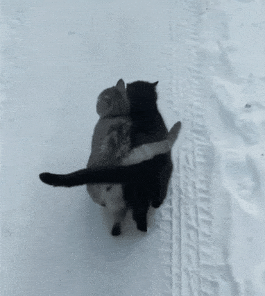 Acid Gifdump, March 17 (25 gifs)