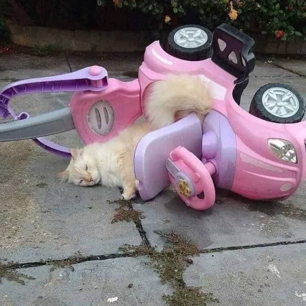 Acid Picdump 1 (83 pics)