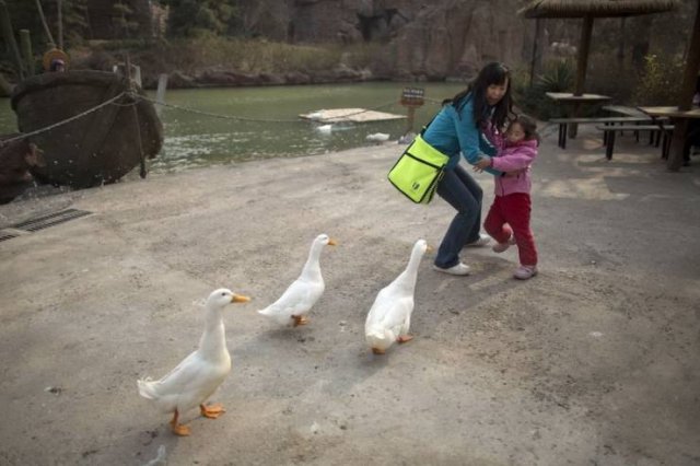 Acid Picdump 1 (83 pics)