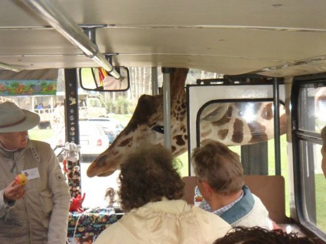 Acid Picdump 1 (83 pics)