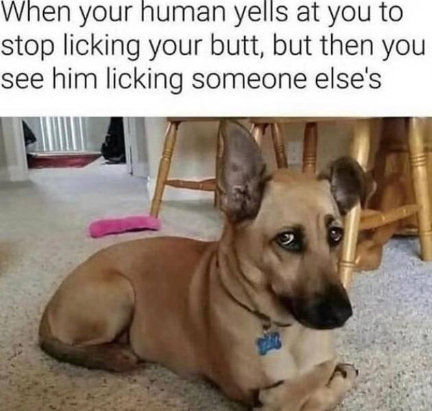Dirty Humor (62 pics)