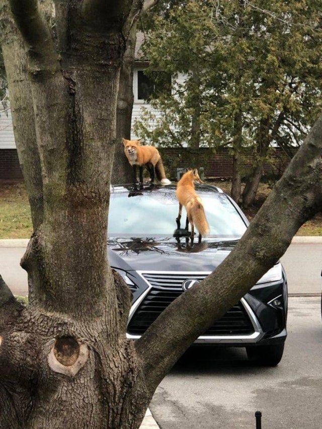 Only Heroes Can Live In Such Places (20 pics) Only Heroes Can Live In Such Places (20 pics)