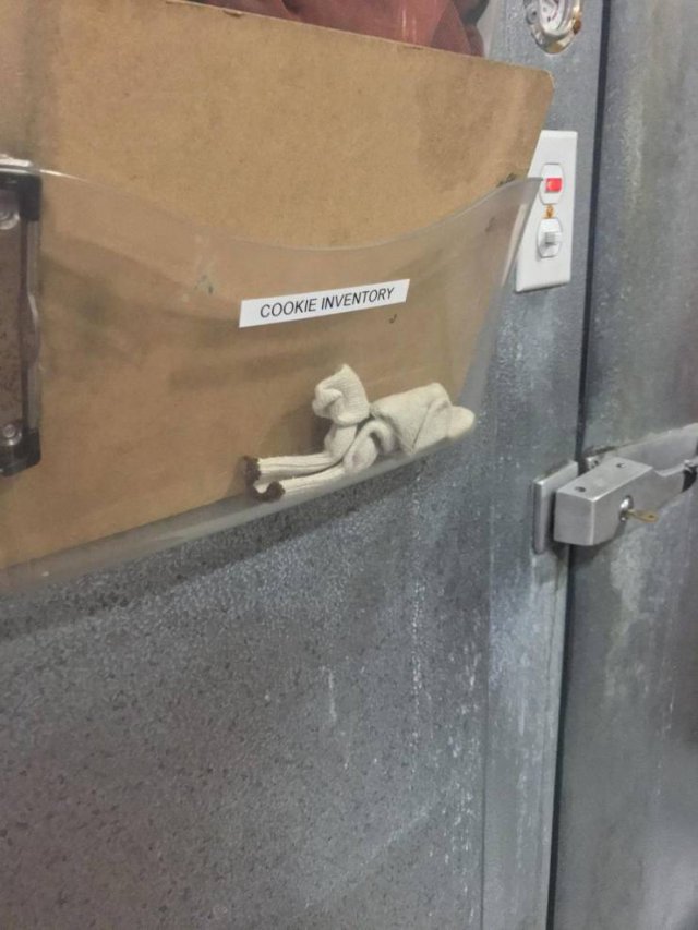 Interesting Photos (41 pics)