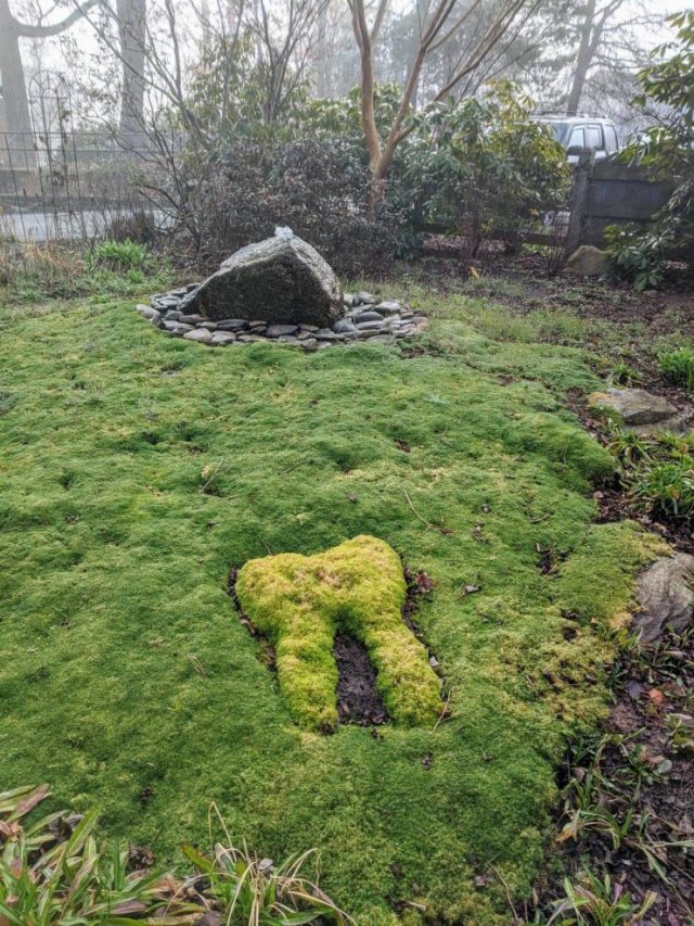 Interesting Photos (41 pics)