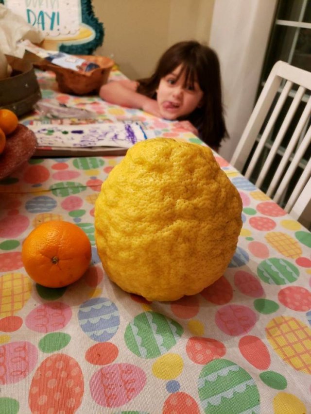 Interesting Photos (41 pics)