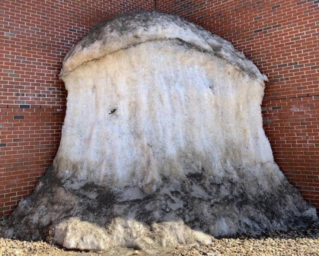 Interesting Photos (41 pics)