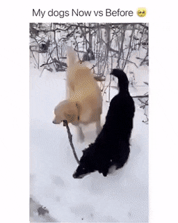 Acid Gifdump, March 18 (25 gifs)