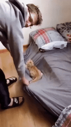 Acid Gifdump, March 18 (25 gifs)