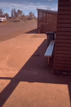 Acid Gifdump, March 18 (25 gifs)