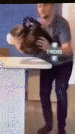 Acid Gifdump, March 18 (25 gifs)
