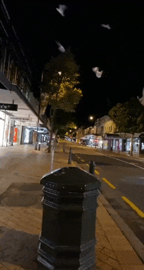Acid Gifdump, March 18 (25 gifs)