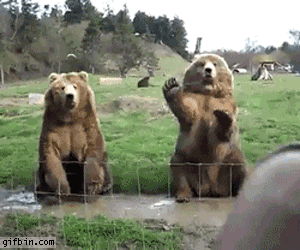 Acid Gifdump, March 19 (25 gifs)