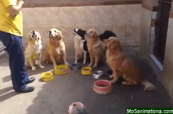 Acid Gifdump, March 19 (25 gifs)