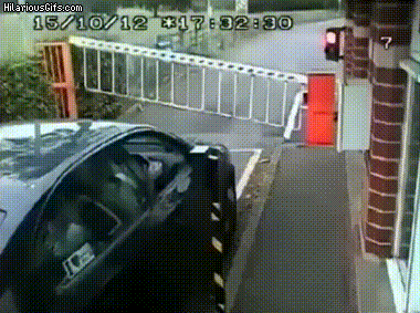 Acid Gifdump, March 19 (25 gifs)