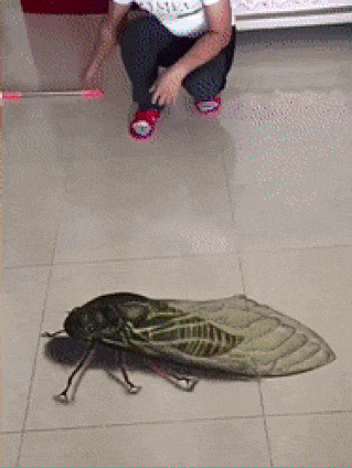 Acid Gifdump, March 19 (25 gifs)