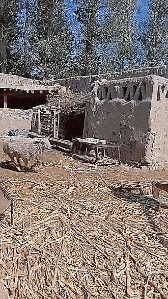 Acid Gifdump, March 19 (25 gifs)