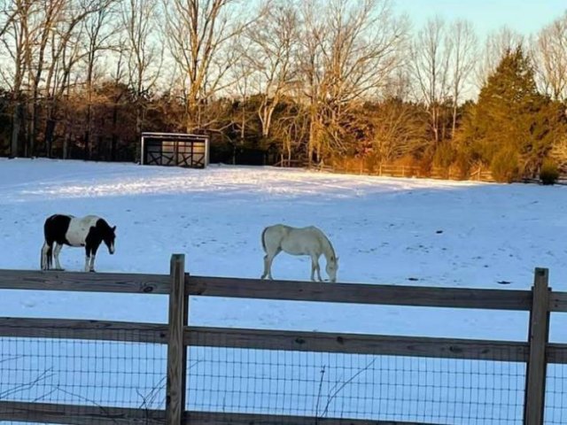 Look Twice (19 pics)