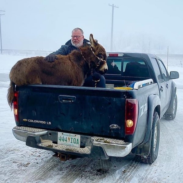 Only In Canada (18 pics)