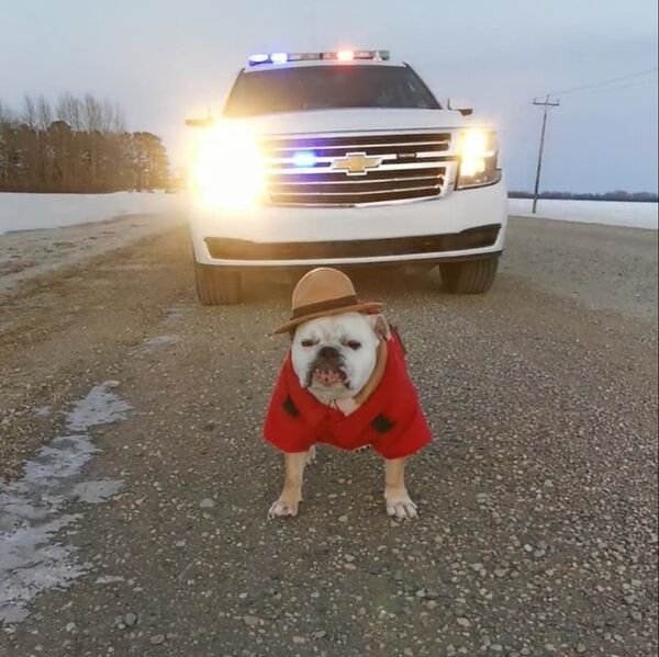 Only In Canada (18 pics)