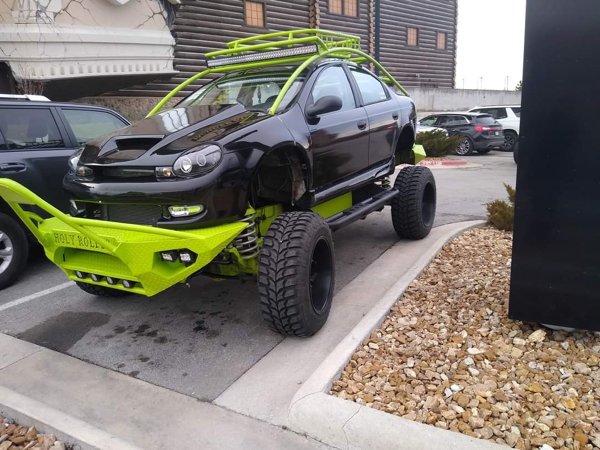 OMG Pictures (27 pics)