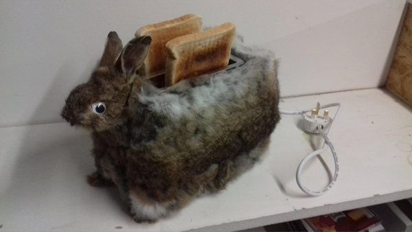 OMG Pictures (27 pics)