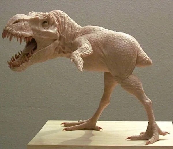 OMG Pictures (27 pics)
