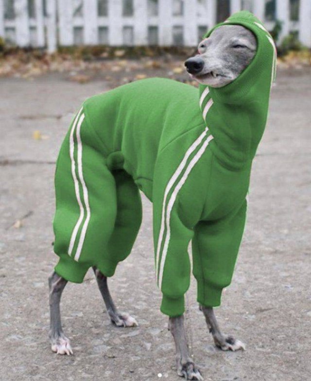 Acid Picdump 2 (81 pics)