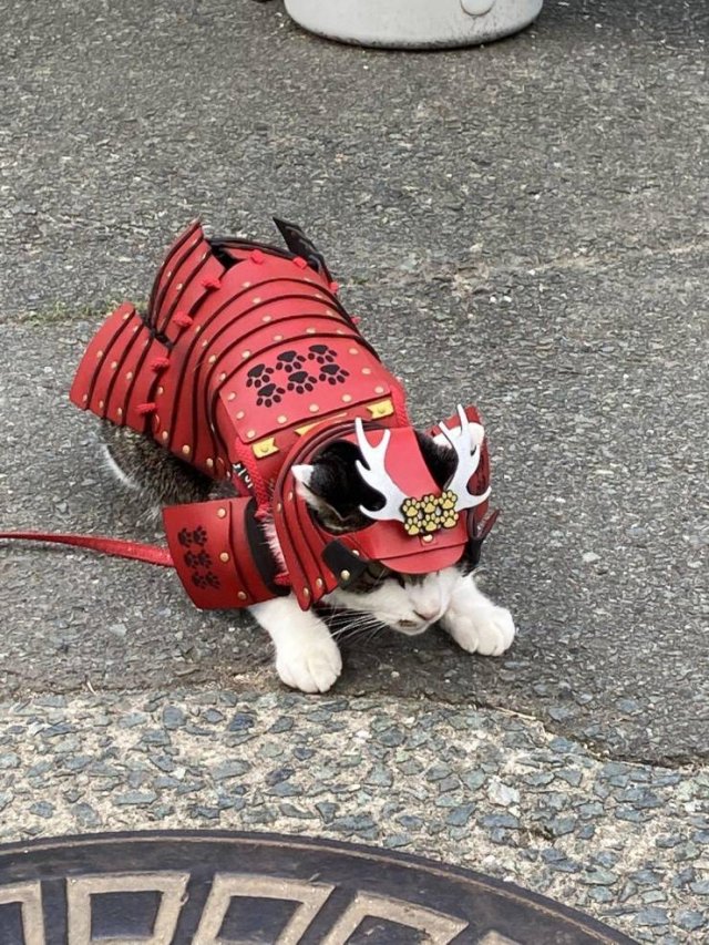 Acid Picdump 2 (81 pics)