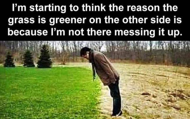 Random Funny Memes (128 pics)