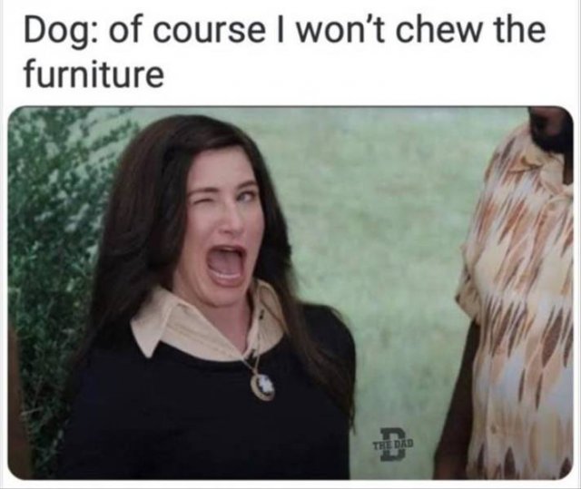 Random Funny Memes (128 pics)