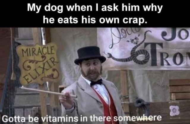 Random Funny Memes (128 pics)