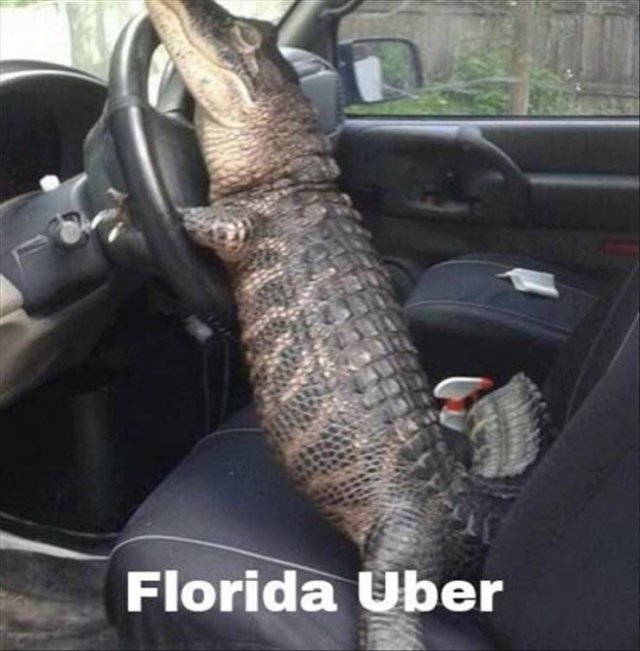 Random Funny Memes (128 pics)