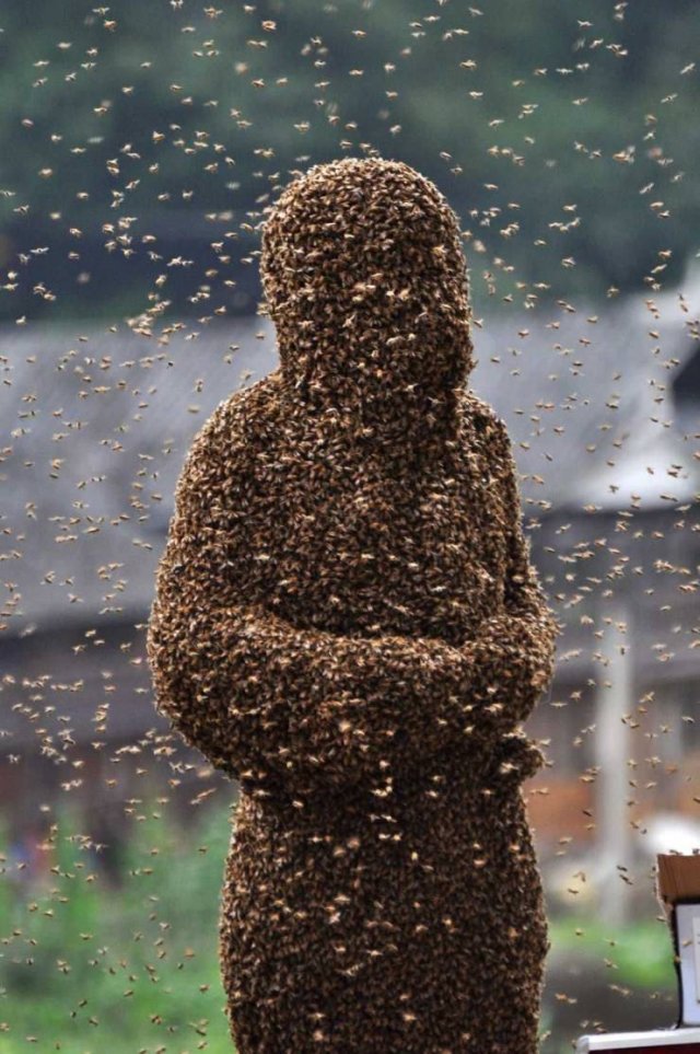 Acid Picdump 2 (81 pics)