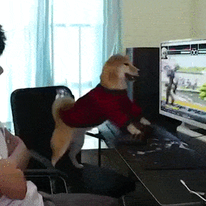 Acid Gifdump, March 22 (25 gifs)