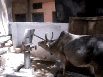 Acid Gifdump, March 22 (25 gifs)