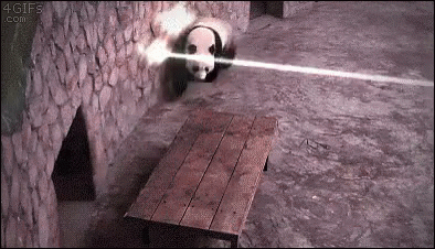 Acid Gifdump, March 22 (25 gifs)