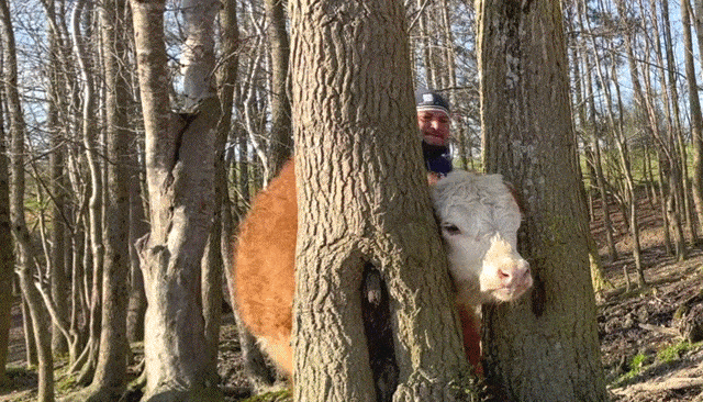 Acid Gifdump, March 22 (25 gifs)