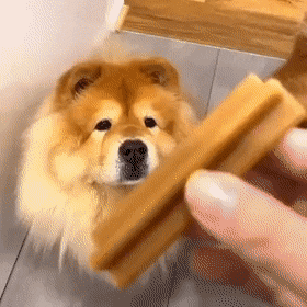 Acid Gifdump, March 22 (25 gifs)