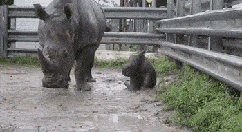 Acid Gifdump, March 22 (25 gifs)