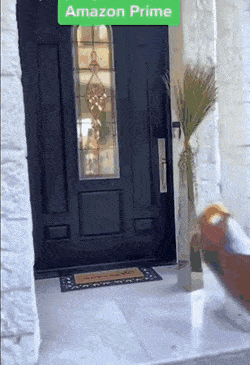 Acid Gifdump, March 22 (25 gifs)