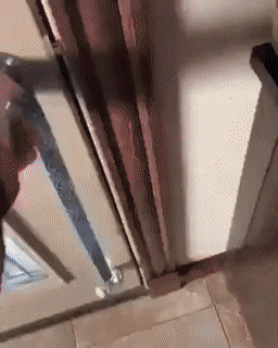 Acid Gifdump, March 22 (25 gifs)