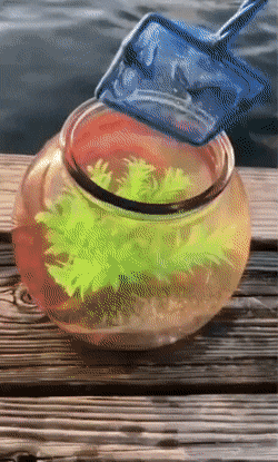 Acid Gifdump, March 22 (25 gifs)