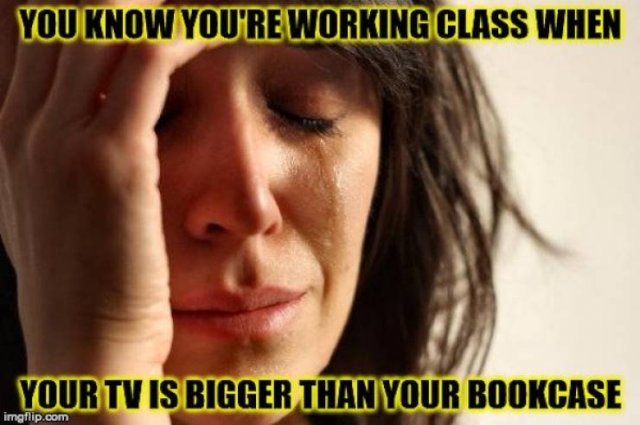 Working Class Memes (32 pics)