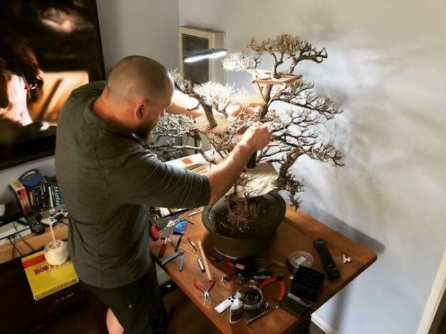 Tiny Bonsai Treehouses By Dave Creek (29 pics)
